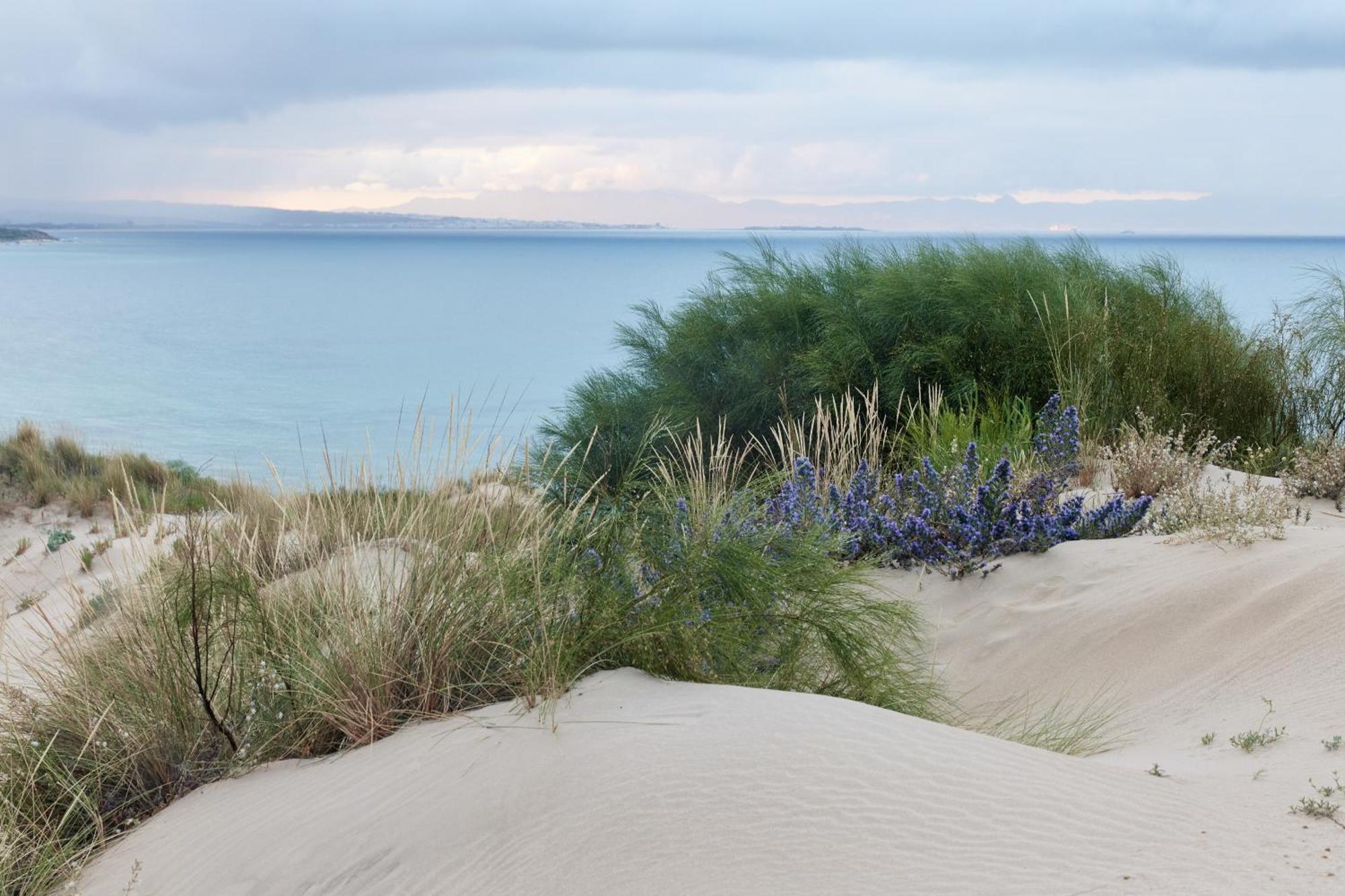Отель Taiga Tarifa Punta Paloma Экстерьер фото